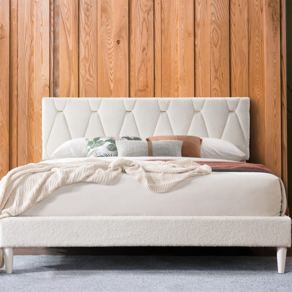 B8071 Kiran (Cream)